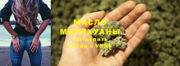 spice Богородицк