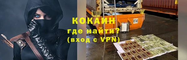 spice Богородицк