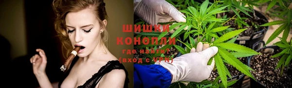 PSILOCYBIN Богданович