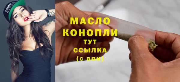 spice Богородицк