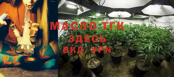 spice Богородицк