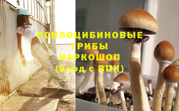 PSILOCYBIN Богданович