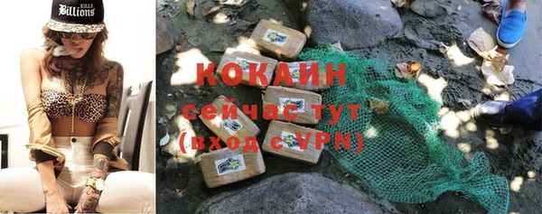 PSILOCYBIN Богданович