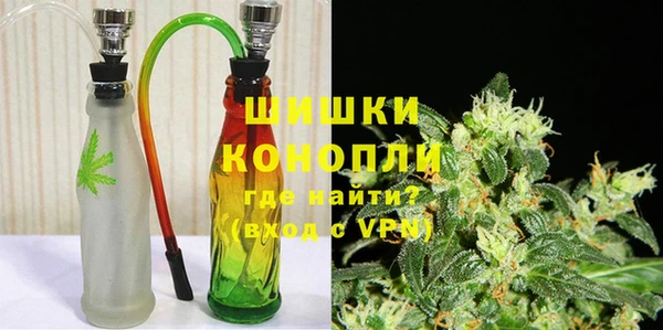spice Богородицк