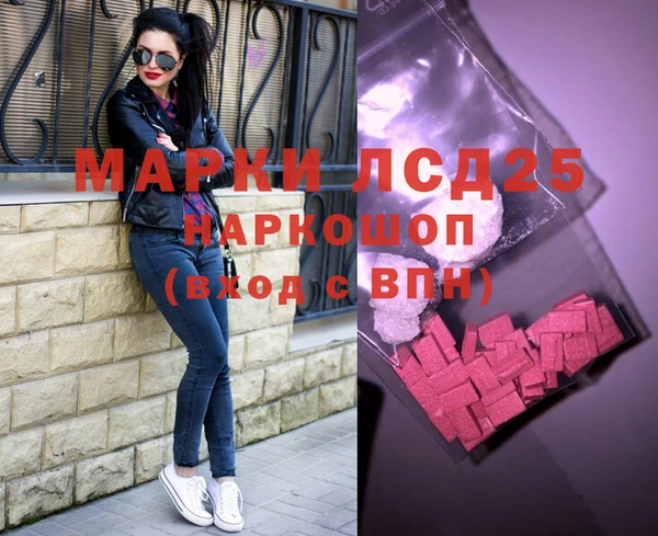 spice Богородицк