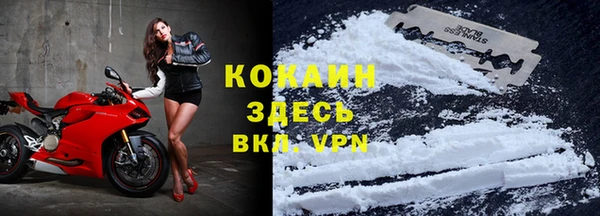 spice Богородицк