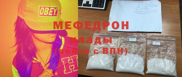 spice Богородицк