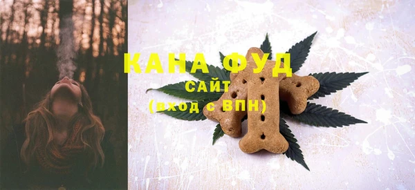 spice Богородицк